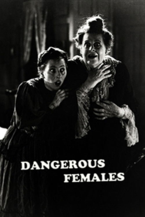 Dangerous Females (1929) poster
