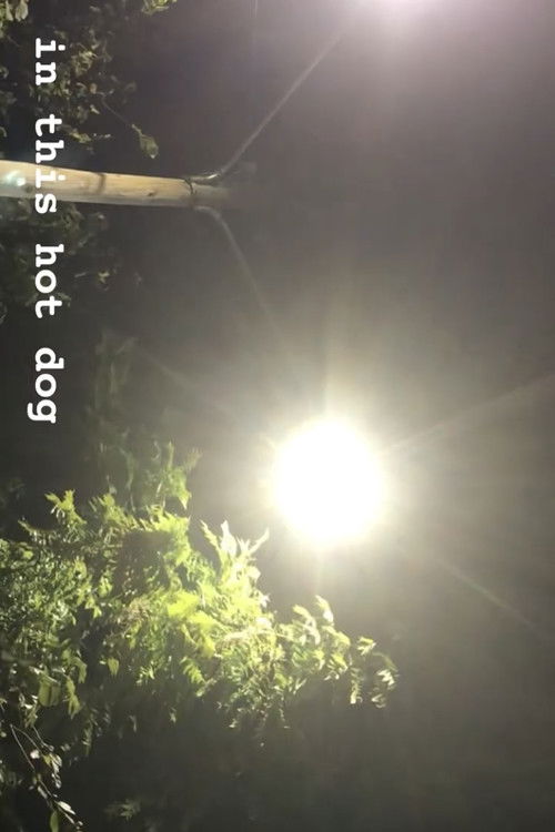 In This Hot Dog (2024) poster