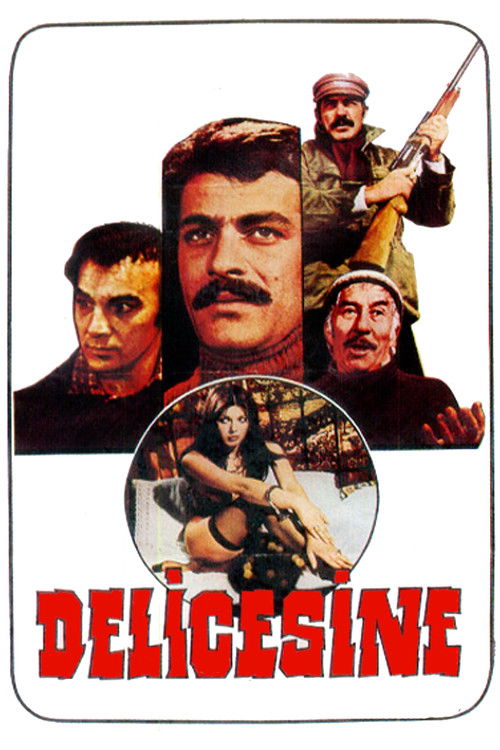 Delicesine (1976) poster