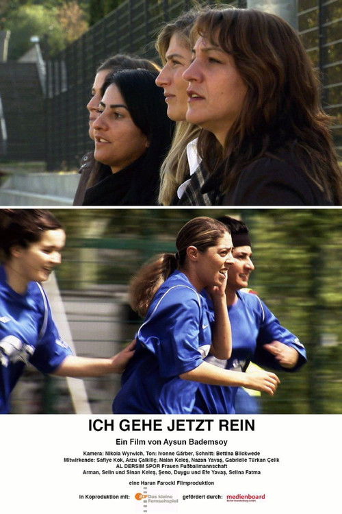 Ich gehe jetzt rein (2008) poster