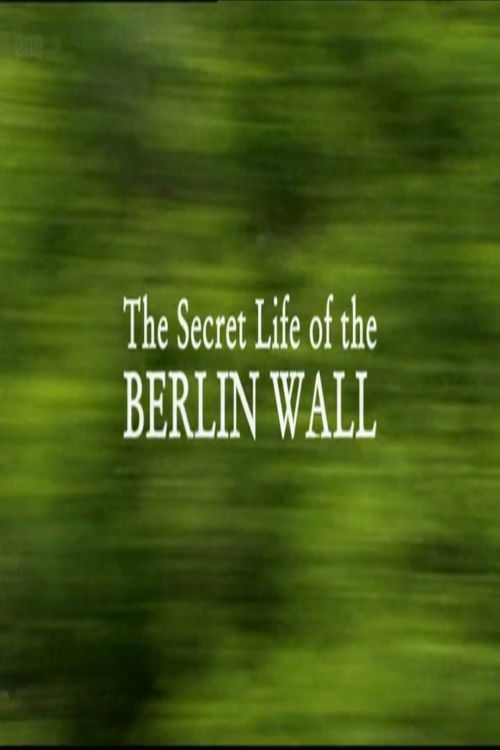The Secret Life of the Berlin Wall (2009) poster