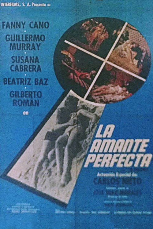 The Perfect Lover (1970) poster