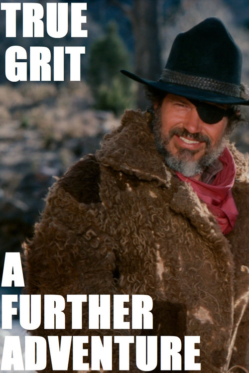 True Grit: A Further Adventure (1978) poster
