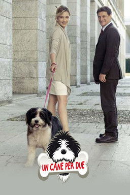 Un cane per due (2010) poster