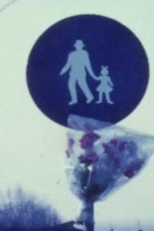 Il Sorriso Della Sfinge (1971) poster