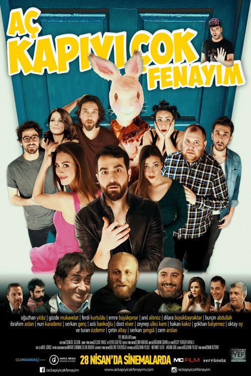 Aç Kapıyı Çok Fenayım (2017) poster