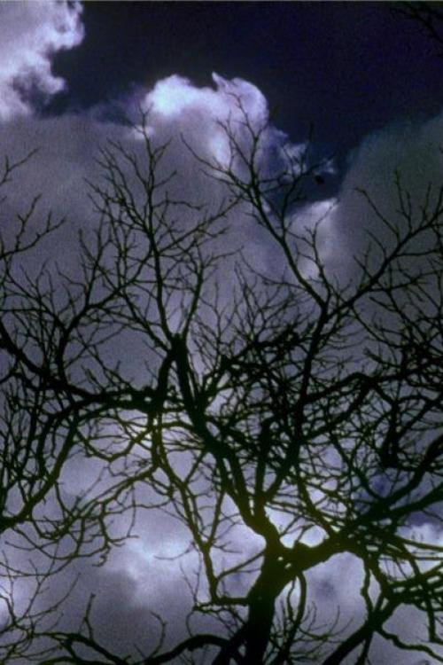 Kodachrome Dailies from the Time of Song and Solitude (Reel 2) (2006) poster