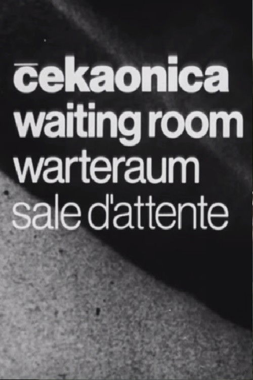 Waiting Room (1975) poster