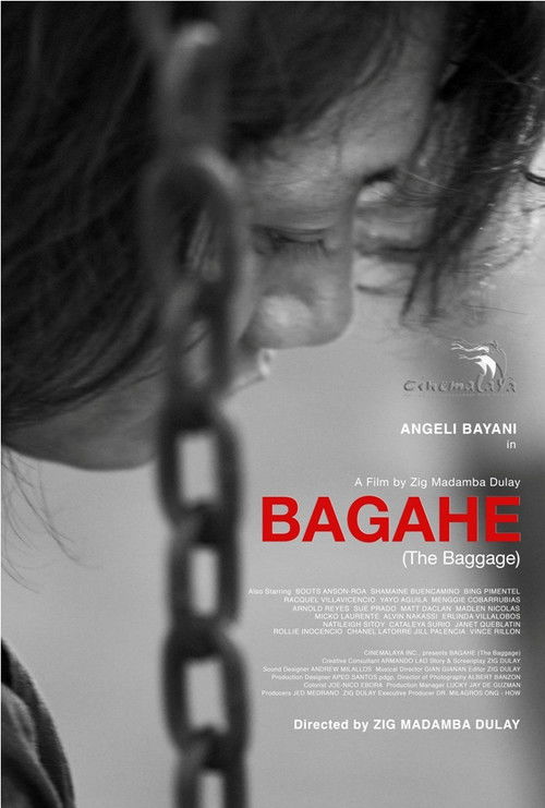 The Baggage (2017) poster