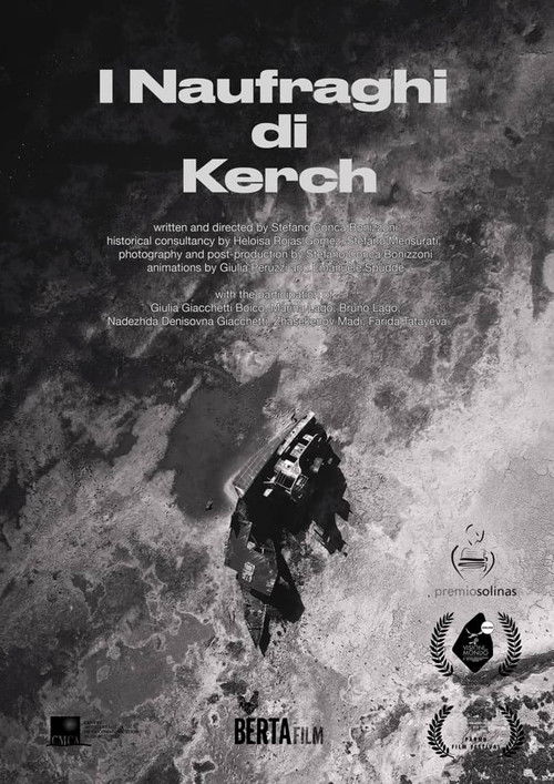 Castaway of Kerch (2020) poster