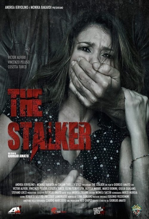 The Stalker (2013) poster