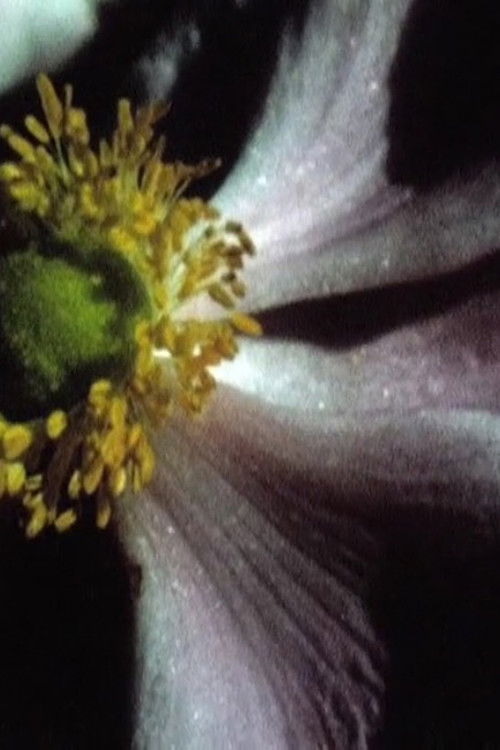 Jardin d'été (2012) poster