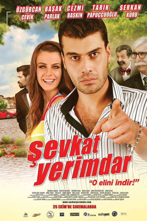 Şevkat Yerimdar (2013) poster