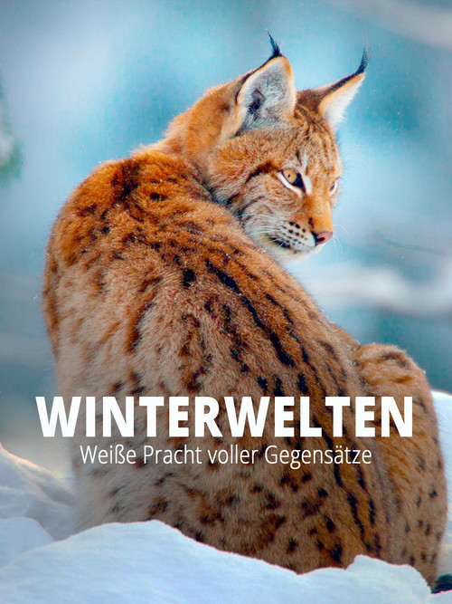Terra X - Wilde Winterwelten (2014) poster