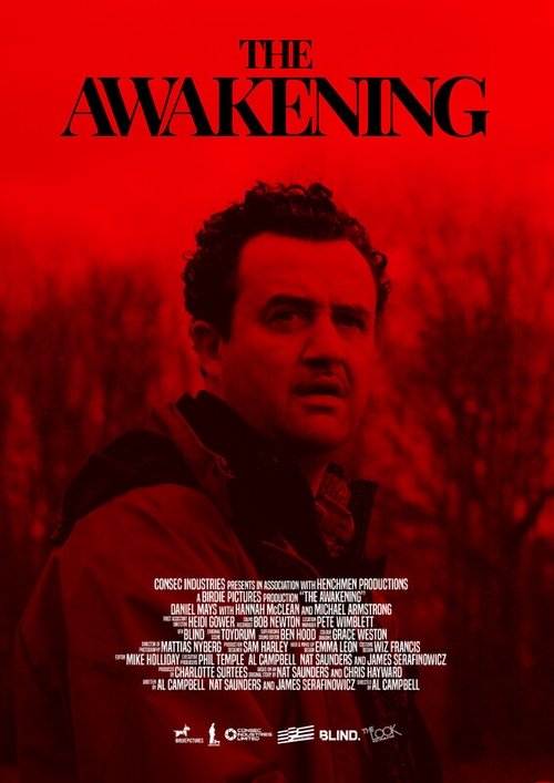 The Awakening (2024) poster
