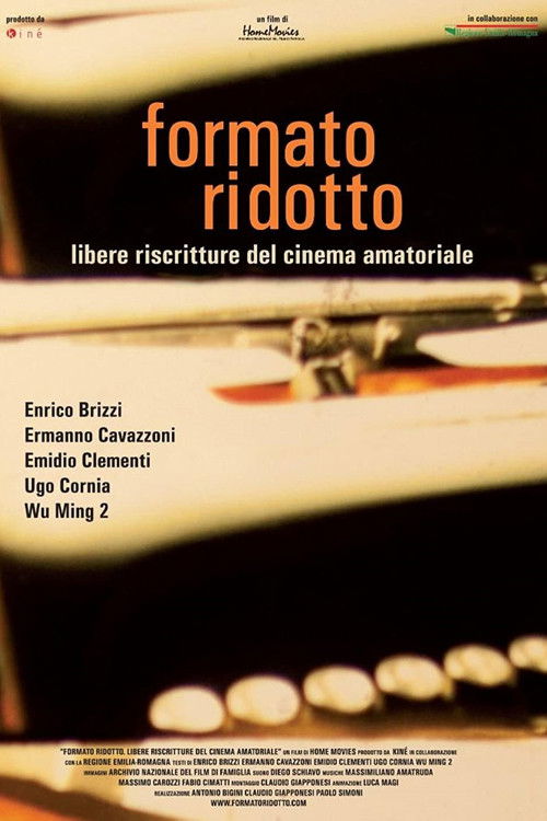 Formato ridotto - Libere riscritture del cinema amatoriale (2013) poster