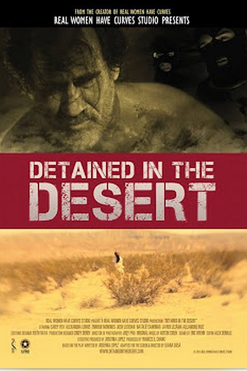 Detained in the Desert (2013) poster