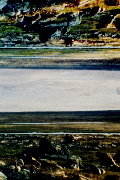 Tuktuit: Caribou (2025) poster