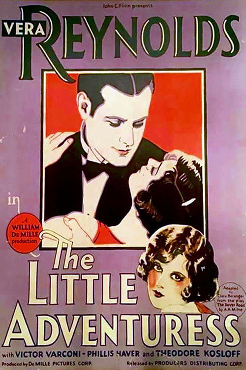 The Little Adventuress (1927) poster