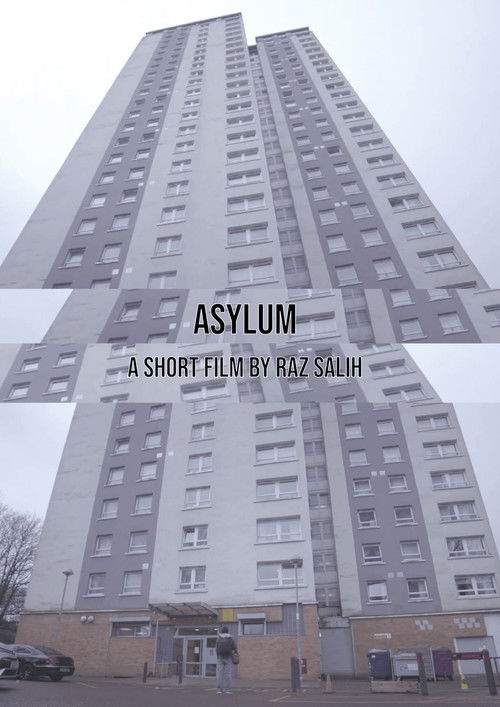 Asylum poster