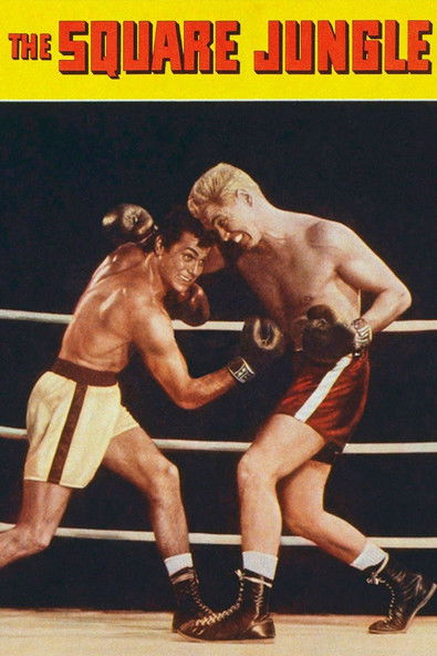 The Square Jungle (1955) poster