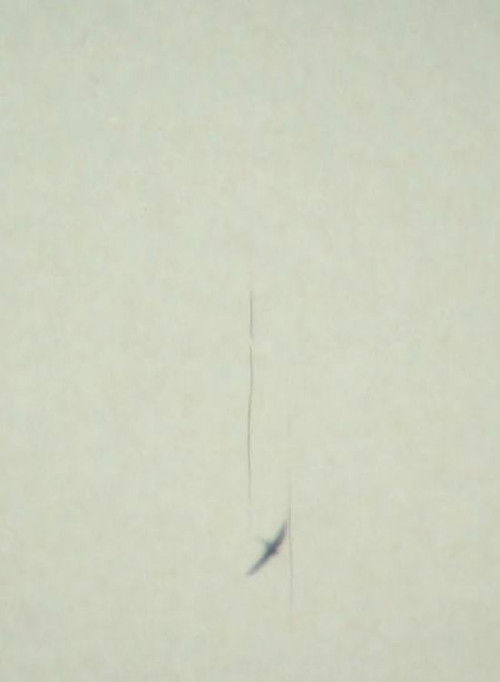 Apus Apus (1984) poster