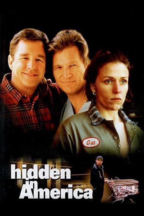 Hidden in America (1996) poster