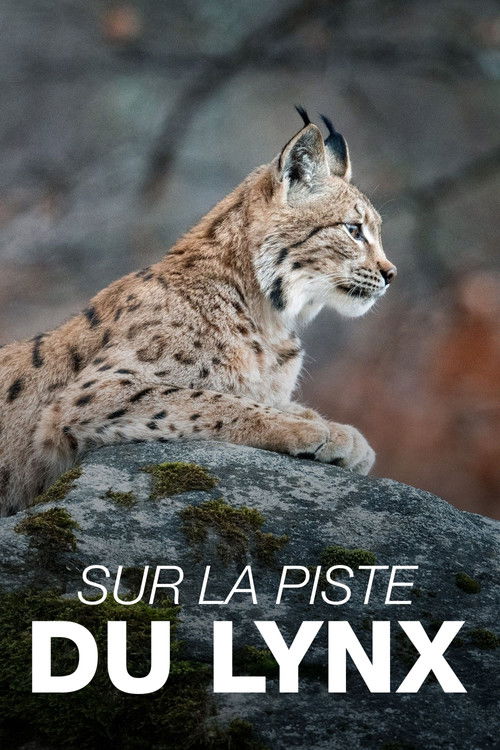 Sur la piste du lynx (2023) poster
