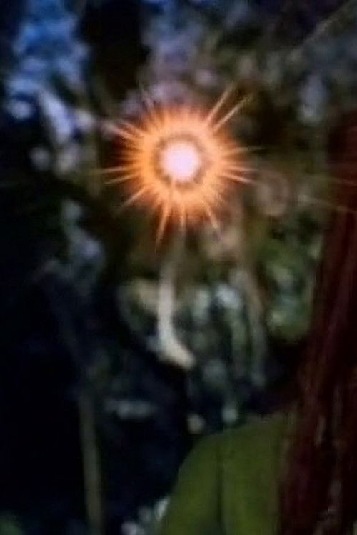 Hinekaro Goes on a Picnic and Blows Up Another Obelisk (1994) poster