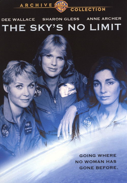 The Sky's No Limit (1984) poster