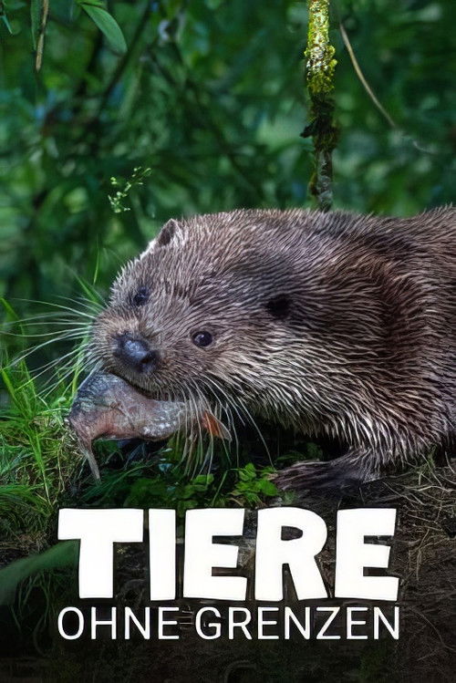 Tiere ohne Grenzen (2024) poster
