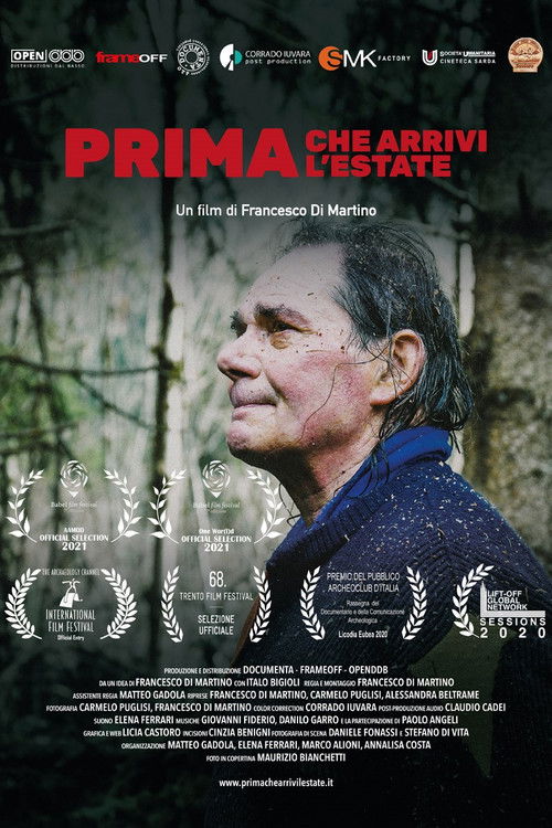 Prima che arrivi l'estate (2020) poster
