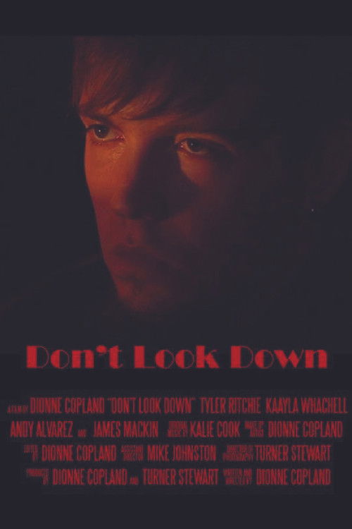 Don't Look Down (2015) poster