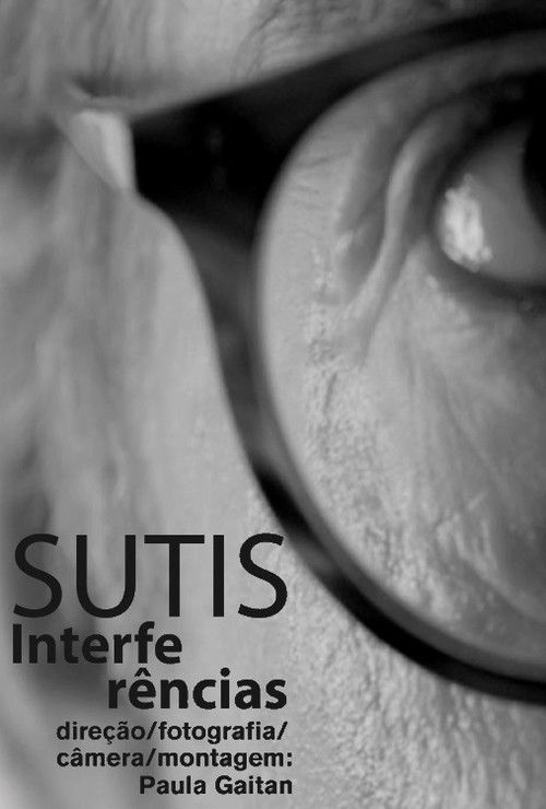 Subtle Interferences (2016) poster