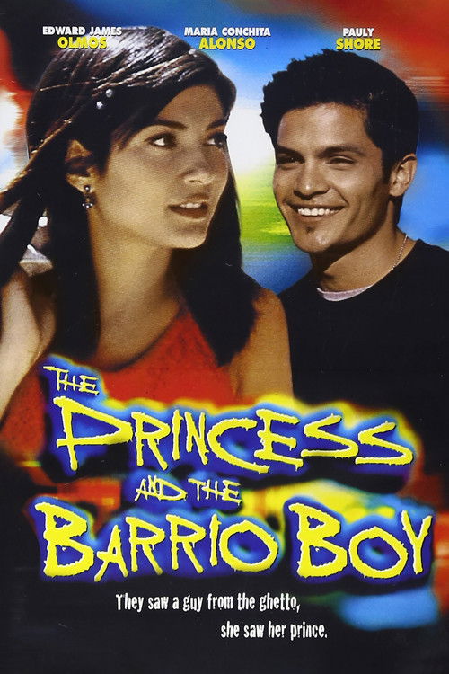 The Princess and the Barrio Boy (2000) poster