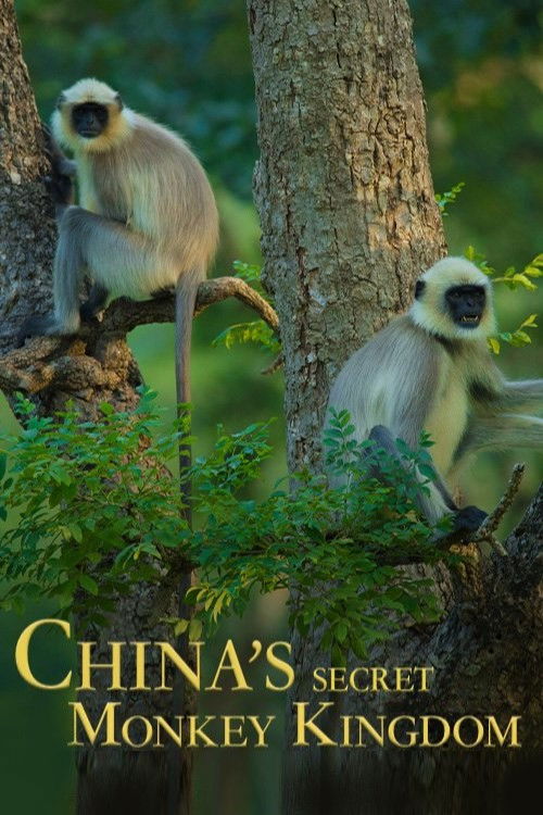 China's Secret Monkey Kingdom (2021) poster