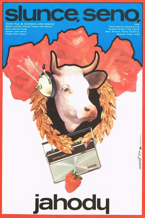 Sun, Hay, Berries (1984) poster