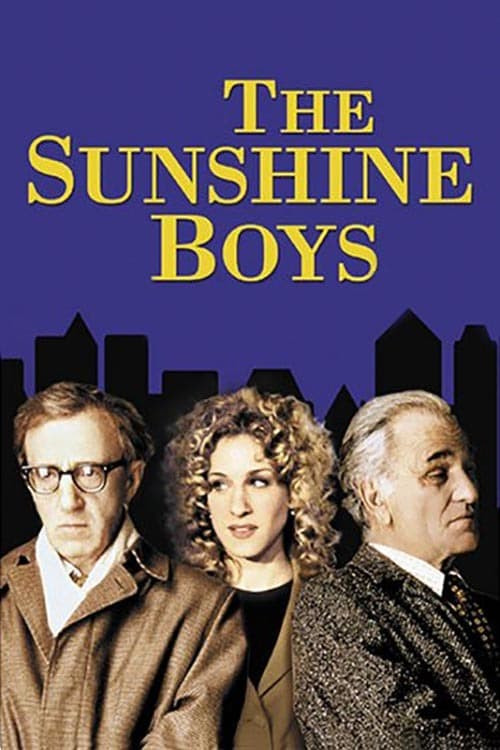 The Sunshine Boys (1996) poster