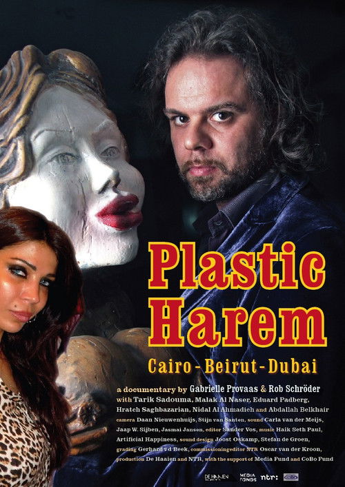 Plastic Harem (2014) poster