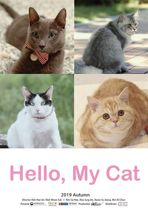 Hello, My Cat (2019) poster