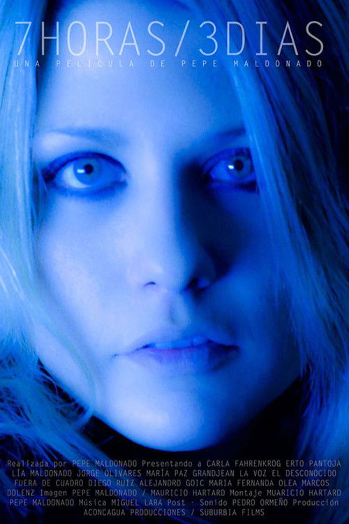 7 horas 3 días (2010) poster