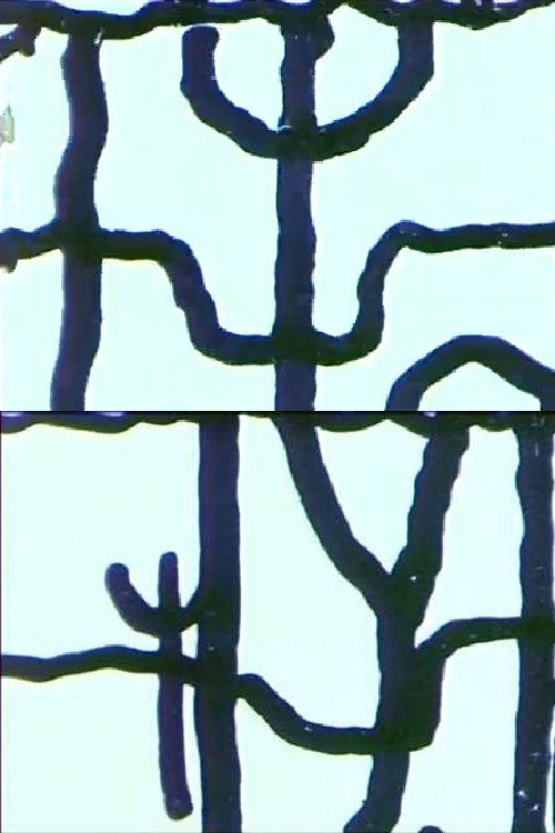 Animación dibujada (1966) poster