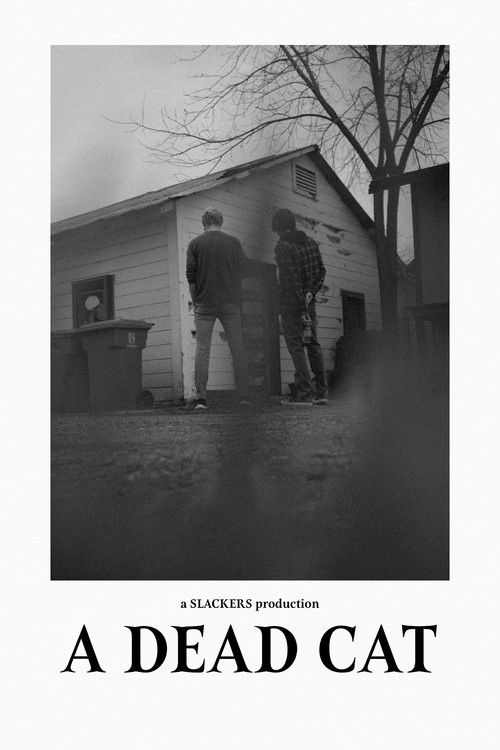 A Dead Cat (2023) poster