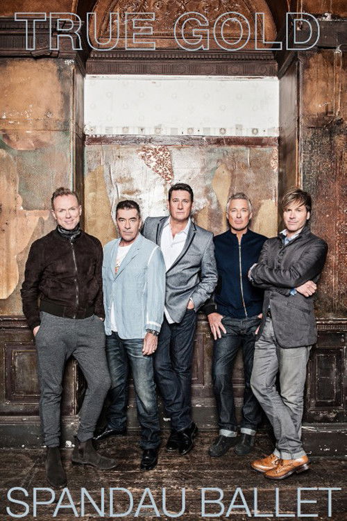 Spandau Ballet: True Gold (2014) poster