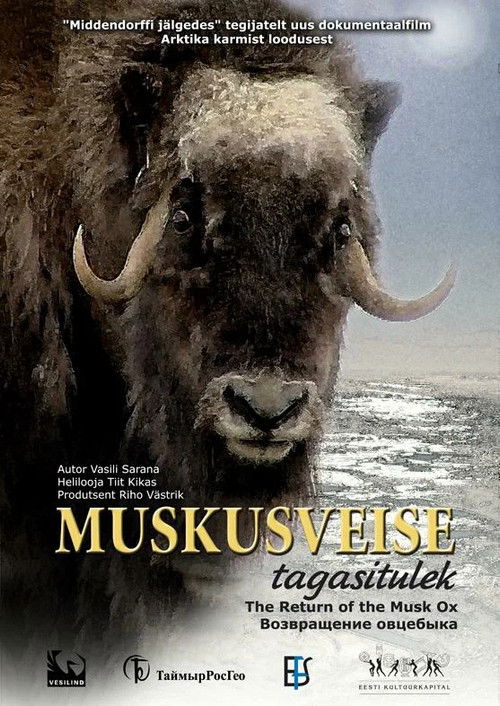 Muskusveise tagasitulek (2008) poster