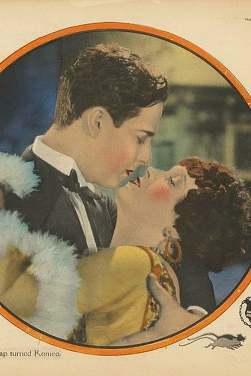 The Perfect Sap (1927) poster