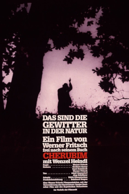 Das sind die Gewitter in der Natur (1988) poster