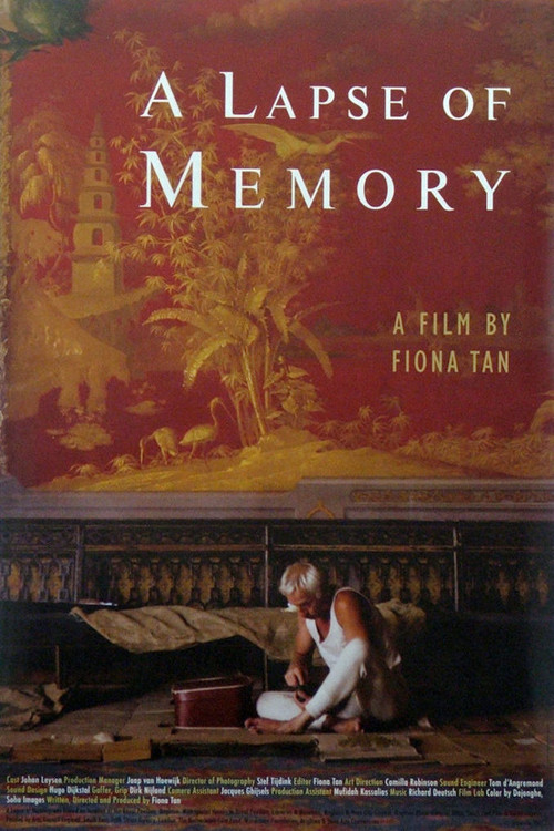 A Lapse of Memory (2007) poster