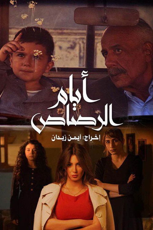 Days of Bullets (2024) poster