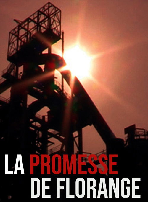 La promesse de Florange (2013) poster